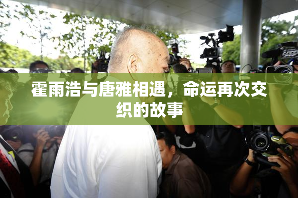 霍雨浩与唐雅相遇，命运再次交织的故事