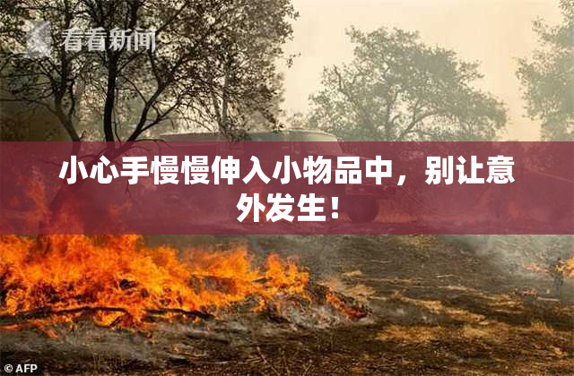 小心手慢慢伸入小物品中，别让意外发生！