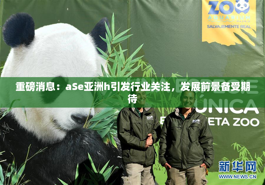 重磅消息：aSe亚洲h引发行业关注，发展前景备受期待