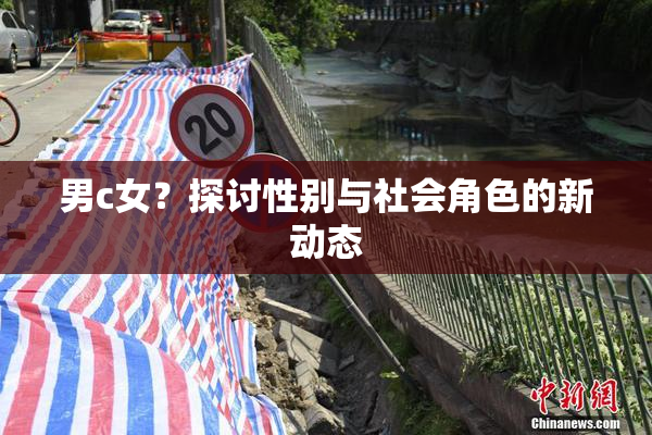 男c女？探讨性别与社会角色的新动态