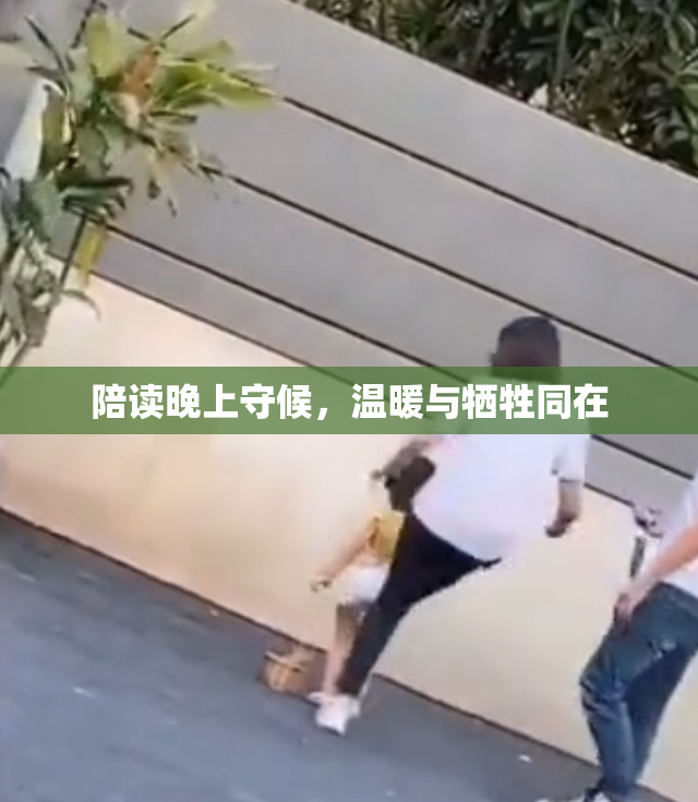 陪读晚上守候，温暖与牺牲同在