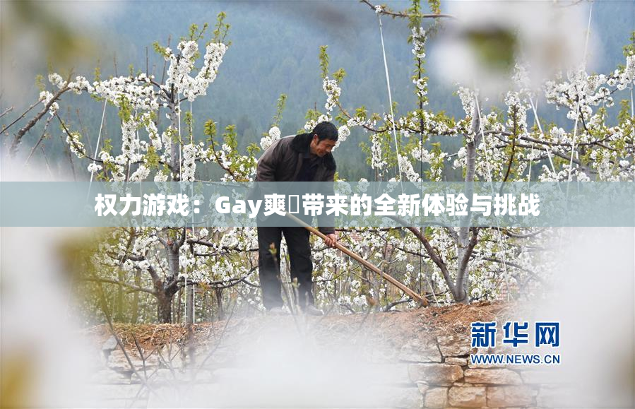 权力游戏：Gay爽擼带来的全新体验与挑战
