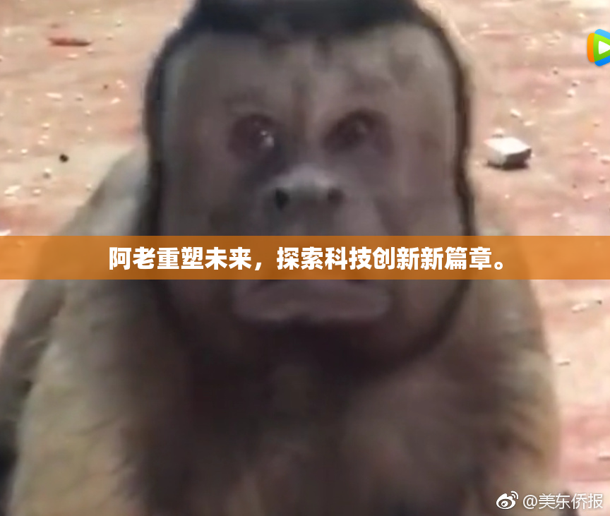 阿老重塑未来，探索科技创新新篇章。