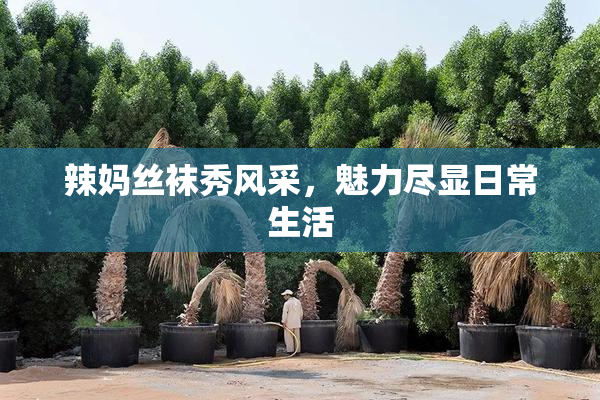 辣妈丝袜秀风采，魅力尽显日常生活