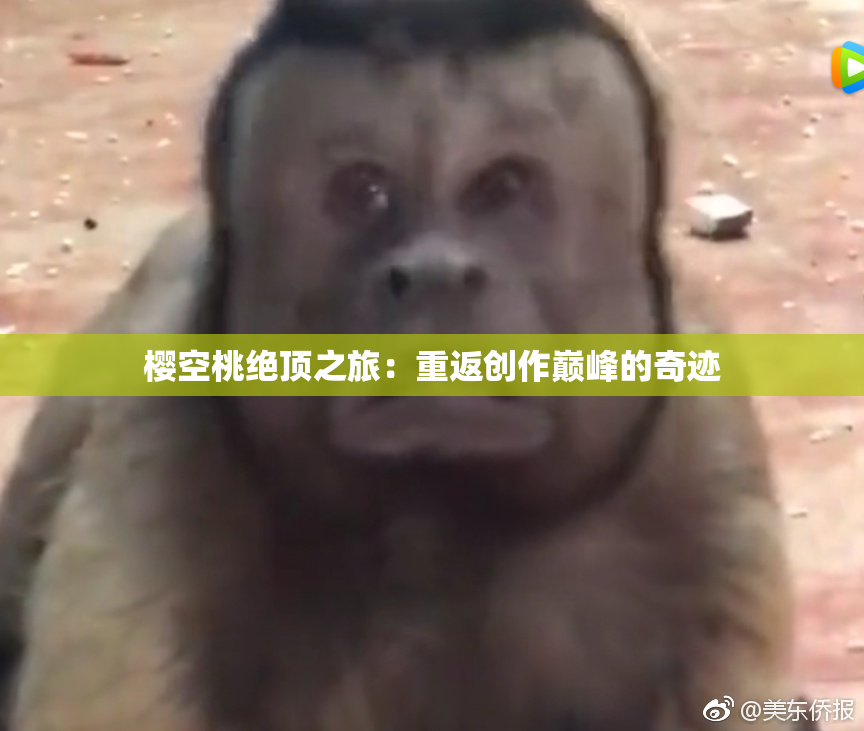 樱空桃绝顶之旅：重返创作巅峰的奇迹