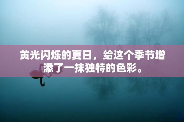 黄光闪烁的夏日，给这个季节增添了一抹独特的色彩。