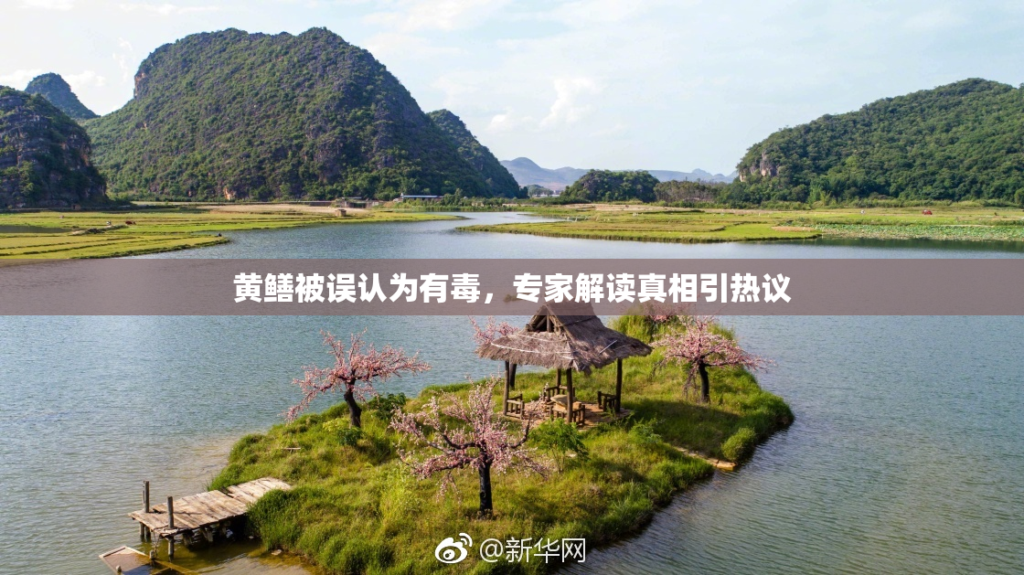 黄鳝被误认为有毒，专家解读真相引热议