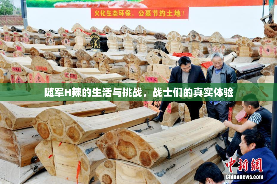 随军H辣的生活与挑战，战士们的真实体验