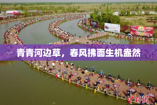 青青河边草，春风拂面生机盎然
