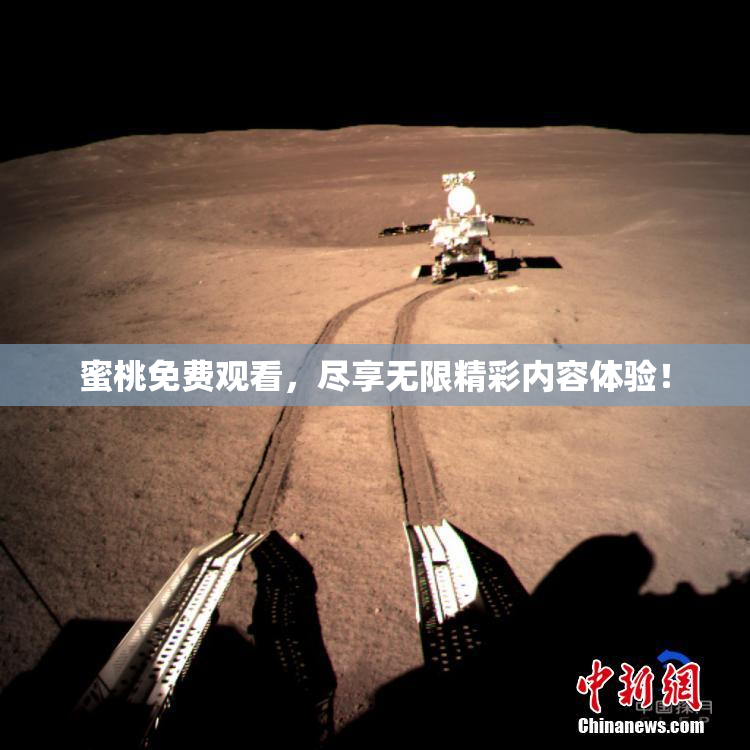 蜜桃免费观看，尽享无限精彩内容体验！