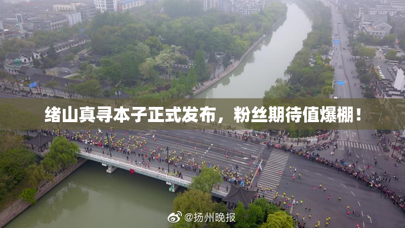 绪山真寻本子正式发布，粉丝期待值爆棚！