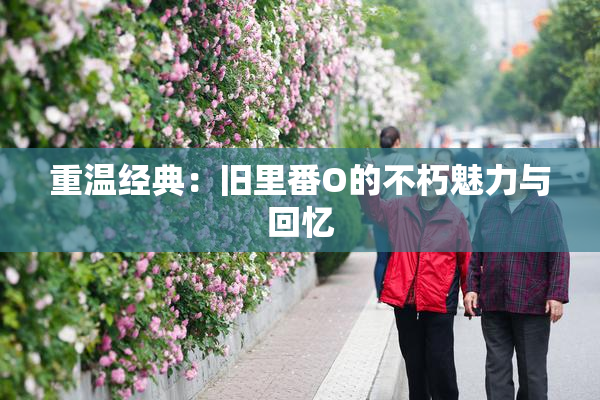 重温经典：旧里番O的不朽魅力与回忆