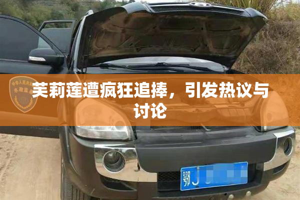 芙莉莲遭疯狂追捧，引发热议与讨论