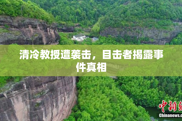 清冷教授遭袭击，目击者揭露事件真相