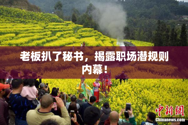 老板扒了秘书，揭露职场潜规则内幕！