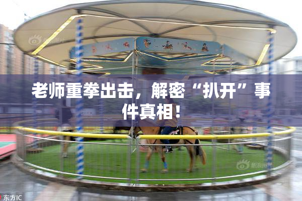 老师重拳出击，解密“扒开”事件真相！