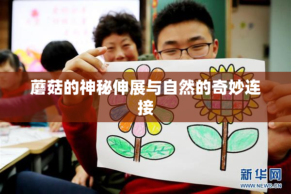 蘑菇的神秘伸展与自然的奇妙连接