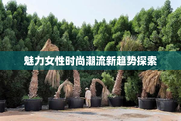 魅力女性时尚潮流新趋势探索