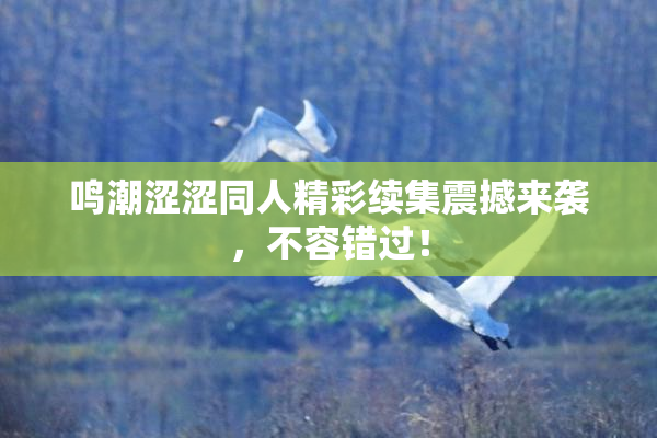 鸣潮涩涩同人精彩续集震撼来袭，不容错过！