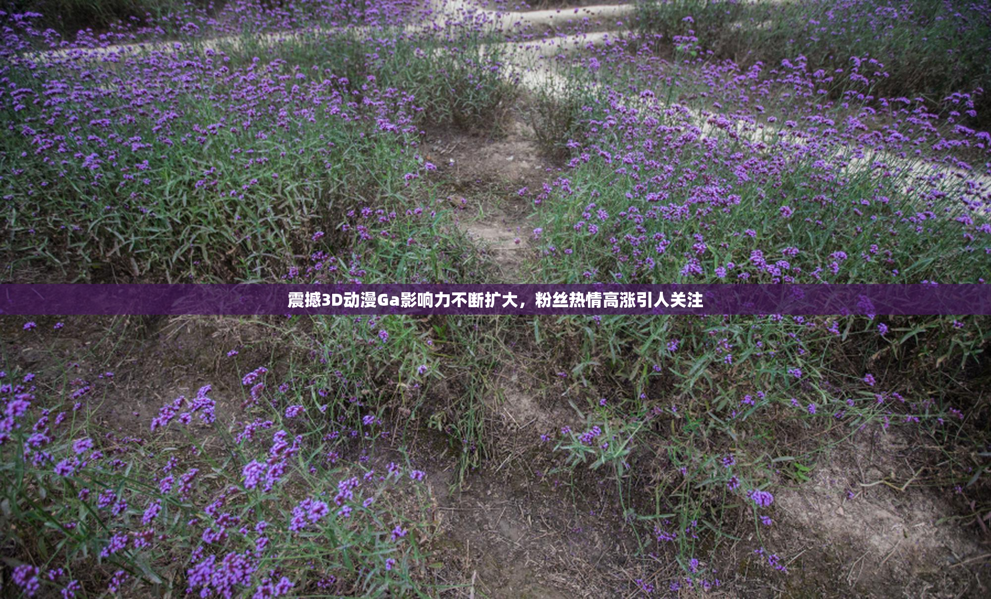 震撼3D动漫Ga影响力不断扩大，粉丝热情高涨引人关注