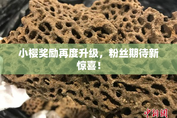 小樱奖励再度升级，粉丝期待新惊喜！