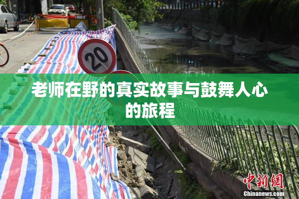 老师在野的真实故事与鼓舞人心的旅程