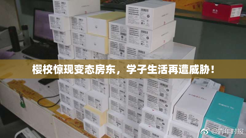 樱校惊现变态房东，学子生活再遭威胁！