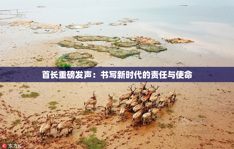 首长重磅发声：书写新时代的责任与使命