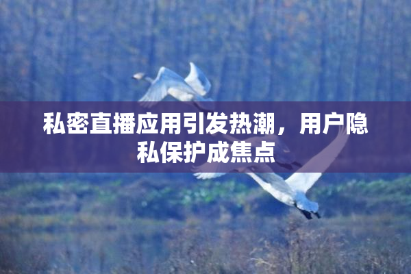 私密直播应用引发热潮，用户隐私保护成焦点