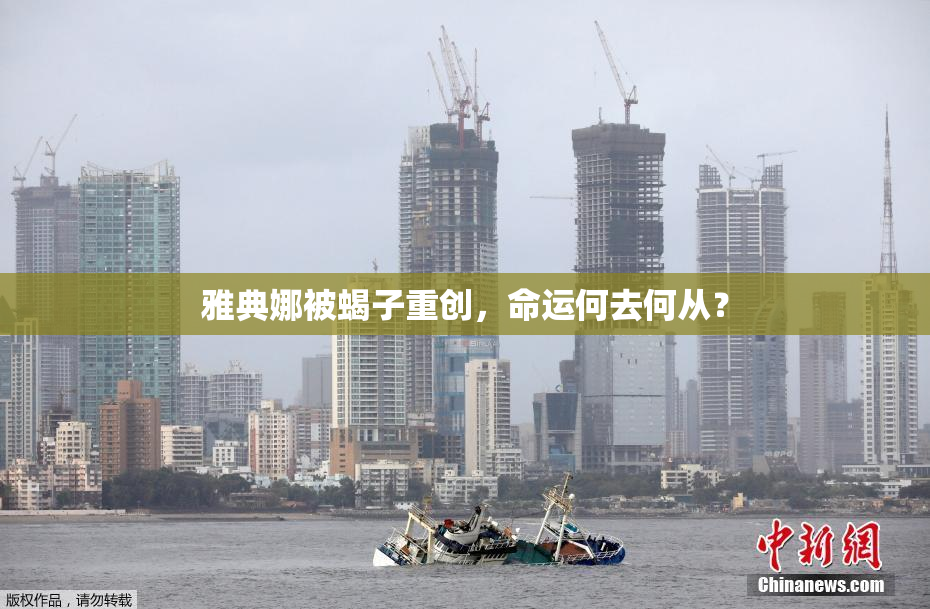 雅典娜被蝎子重创，命运何去何从？