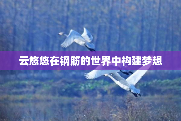 云悠悠在钢筋的世界中构建梦想