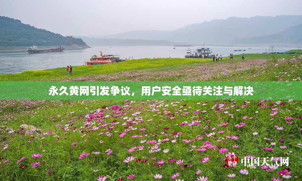 永久黄网引发争议，用户安全亟待关注与解决