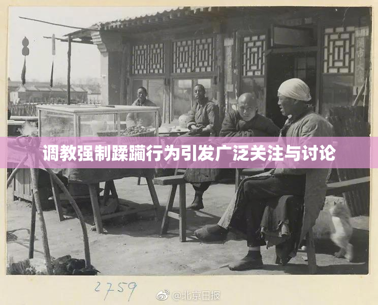 调教强制蹂躏行为引发广泛关注与讨论