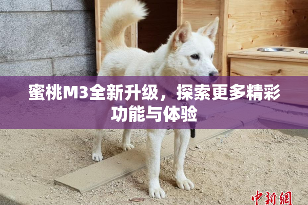 蜜桃M3全新升级，探索更多精彩功能与体验