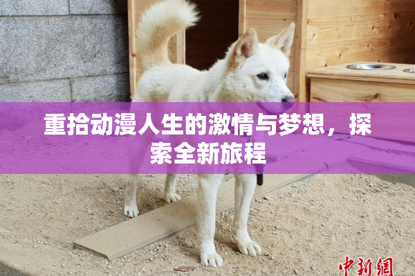 重拾动漫人生的激情与梦想，探索全新旅程