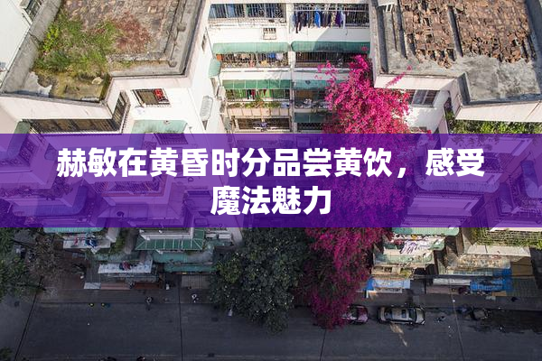 赫敏在黄昏时分品尝黄饮，感受魔法魅力