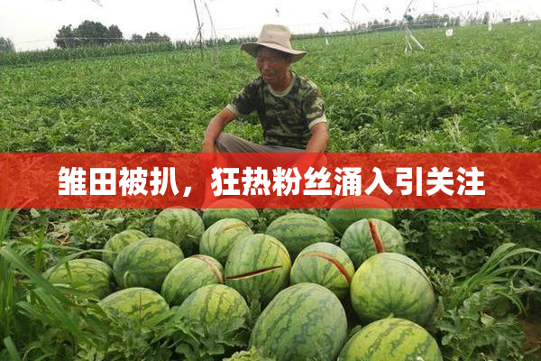 雏田被扒，狂热粉丝涌入引关注