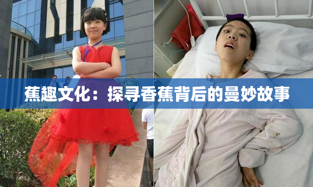 蕉趣文化：探寻香蕉背后的曼妙故事
