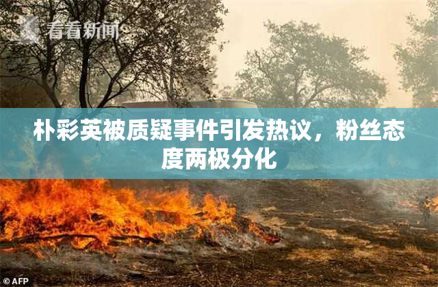 朴彩英被质疑事件引发热议，粉丝态度两极分化