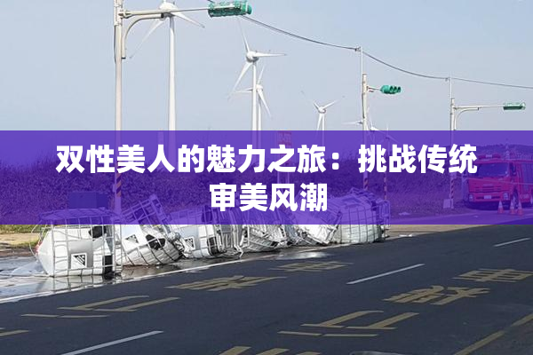 双性美人的魅力之旅：挑战传统审美风潮
