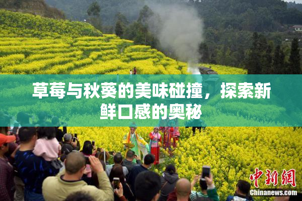 草莓与秋葵的美味碰撞，探索新鲜口感的奥秘