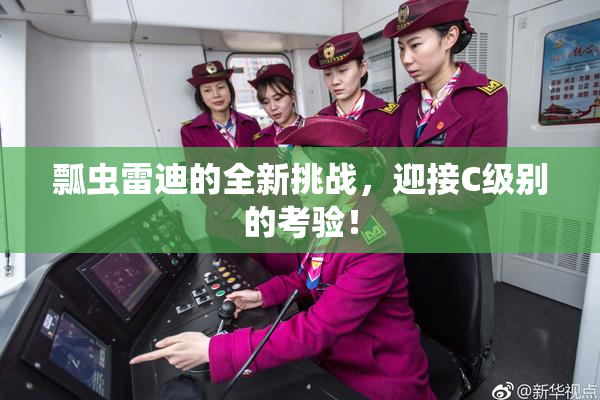 瓢虫雷迪的全新挑战，迎接C级别的考验！