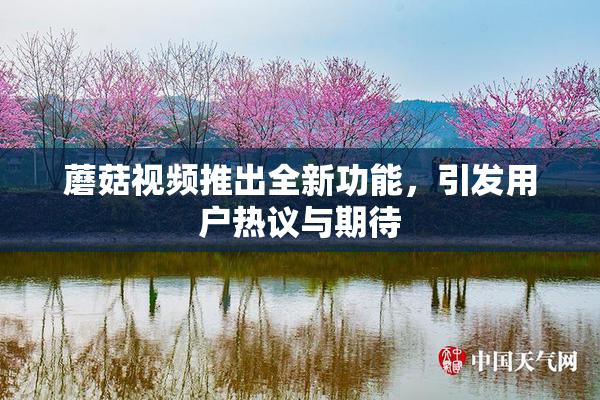 蘑菇视频推出全新功能，引发用户热议与期待