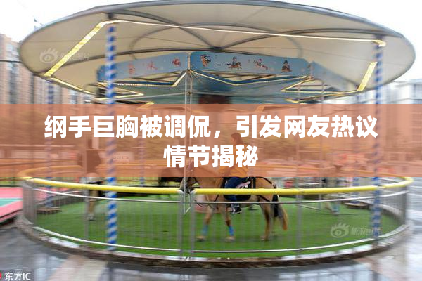 纲手巨胸被调侃，引发网友热议情节揭秘