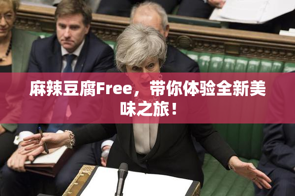 麻辣豆腐Free，带你体验全新美味之旅！