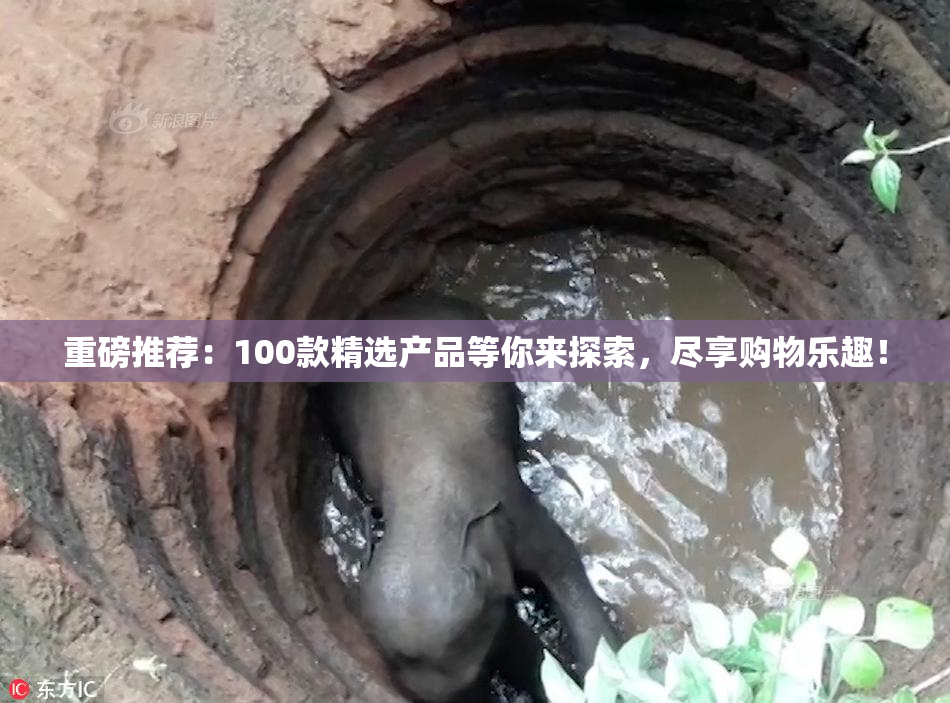 重磅推荐：100款精选产品等你来探索，尽享购物乐趣！