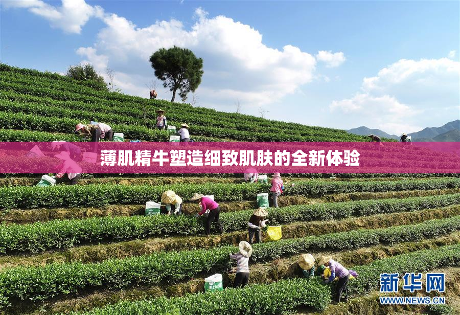 薄肌精牛塑造细致肌肤的全新体验