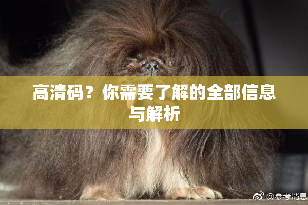 高清码？你需要了解的全部信息与解析