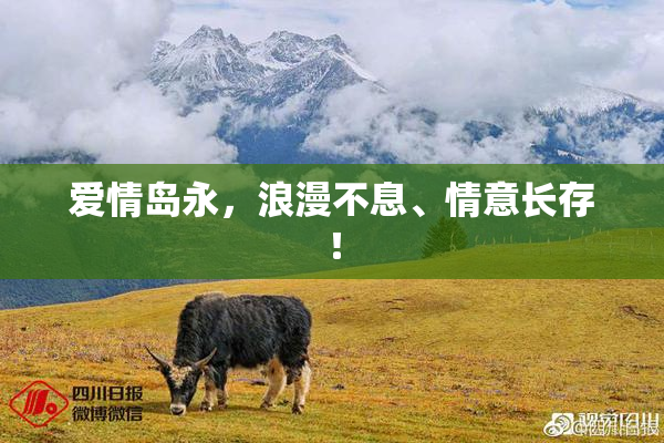 爱情岛永，浪漫不息、情意长存！