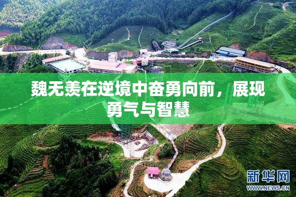 魏无羡在逆境中奋勇向前，展现勇气与智慧